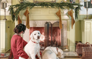 7 Holiday Planning Tasks to Do Right Now (So You Can Enjoy the Holiday Season) | Wit & Delight