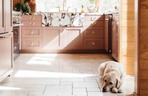 Best of Wit & Delight: 14 of Kate’s Interior Design Articles