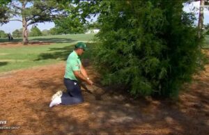 Harrington hits shot from his knees | 'This is incredible folks!'