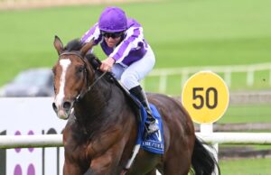 Betfred St Leger Runner Guide: All the details on this year’s contenders | Racing News