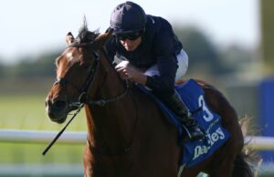 Today on Sky Sports Racing: City of Troy seeks Breeders’ Cup Classic glory at Del Mar with Ascot and Southwell also live | Racing News