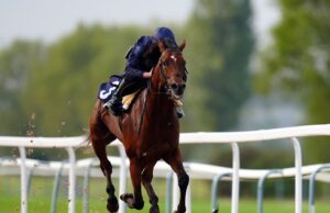 Breeders’ Cup: Classic challenge ends in disappointment for City Of Troy | Racing News