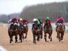 Today on Sky Sports Racing: Southwell, Hereford and Lingfield feature | Racing News