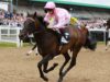 Weekend Winners: Listed Golden Rose Stakes best bets plus Cheltenham fancies | Racing News