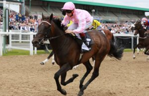 Weekend Winners: Listed Golden Rose Stakes best bets plus Cheltenham fancies | Racing News